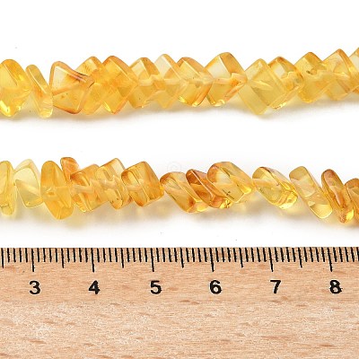 Natural Amber Beads Strands G-K376-C02-01-1