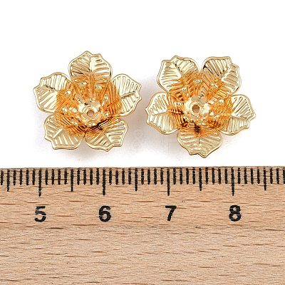 Brass Bead Caps KK-F910-24G-03-1