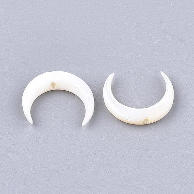 Natural Freshwater Shell Beads X-SHEL-T012-12-1