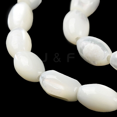 Natural Trochus Shell Beads Strands BSHE-E030-02C-1