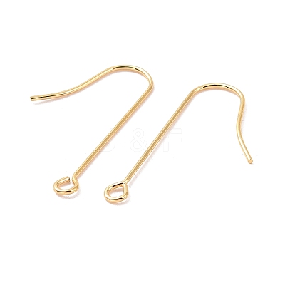 316 Surgical Stainless Steel Earring Hooks X-STAS-E027-02B-G-1