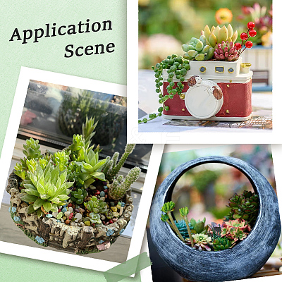 PVC Artificial Succulent Plant AJEW-SP0004-35C-1