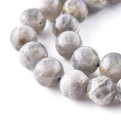 Natural Labradorite Beads Strands X-G-G212-8mm-23-1