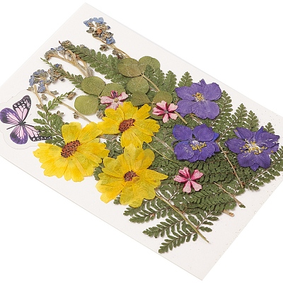 Pressed Dried Flowers DIY-YWC0001-97-1