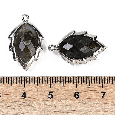 Natural Labradorite Faceted Leaf Pendants G-I375-04P-08-1