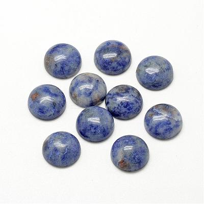 Natural Blue Spot Jasper Cabochons G-R416-16mm-45-1
