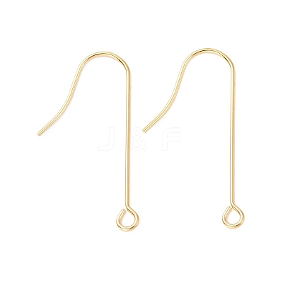 316 Surgical Stainless Steel Earring Hooks STAS-E027-02B-G-1