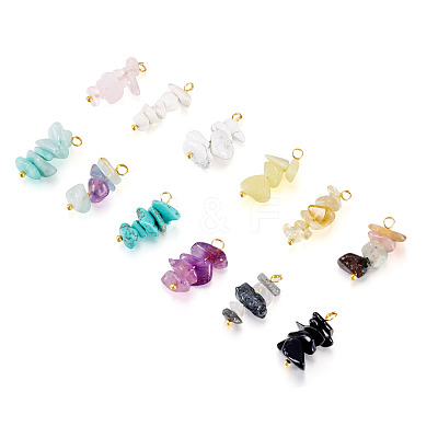 24Pcs 12 Styles Mixed Gemstone Chip Pendants PALLOY-TAC0166-1