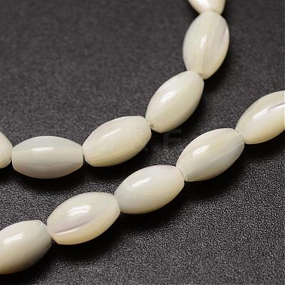 Natural Trochid Shell/Trochus Shell Beads Strands SSHEL-K008-06-1