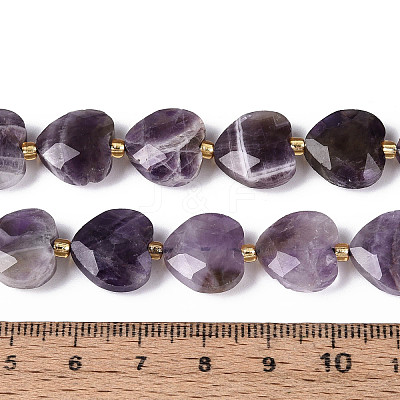 Natural Amethyst Beads Strands G-P592-B10-01-1