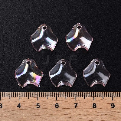 Transparent Acrylic Pendants MACR-S373-106-C04-1