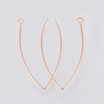 Ion Plating(IP) 304 Stainless Steel Earring Hooks STAS-K184-05-01RG-1