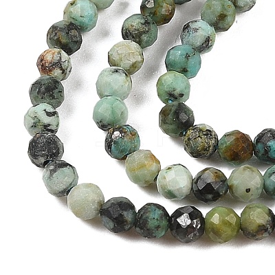 Natural African Turquoise(Jasper) Beads Strands X-G-P472-01-1