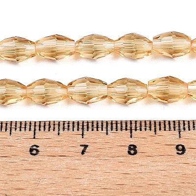 Transparent Glass Beads Strands EGLA-A037-T6x8mm-D05-1