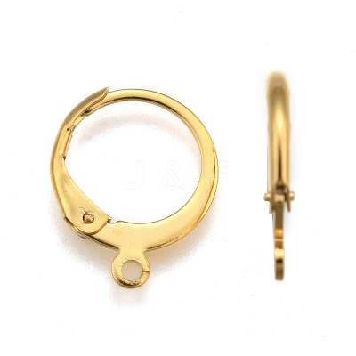 304 Stainless Steel Leverback Earring Findings X-STAS-P210-30G-1