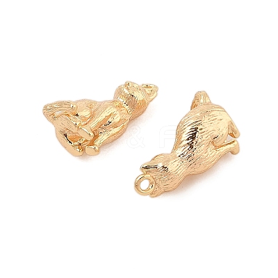 Brass Pendants X-KK-L223-022G-1