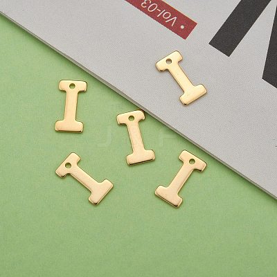 304 Stainless Steel Charms LS-X-STAS-P141-I-1