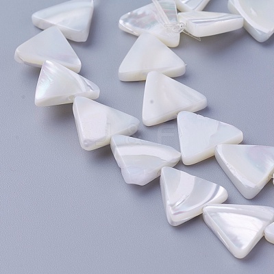 Shell Beads Strands SSHEL-E571-28A-1