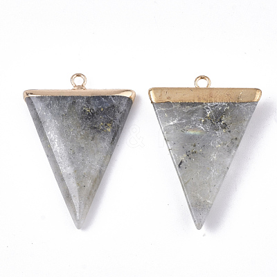 Electroplate Natural Labradorite Pendants G-S344-49D-1
