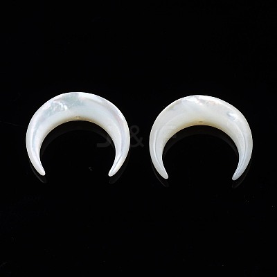 Natural White Shell Mother of Pearl Shell Beads X-SSHEL-T012-07-1