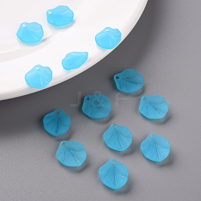 Transparent Frosted Acrylic Pendants MACR-S371-02A-755-1