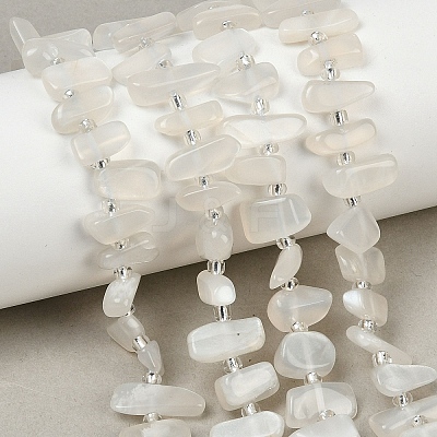 Natural White Moonstone Beads Strands G-L657-E02-01-1