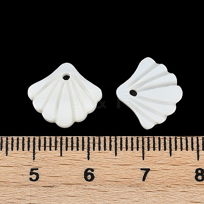 Natural Freshwater Shell Charms SHEL-K006-45A-1