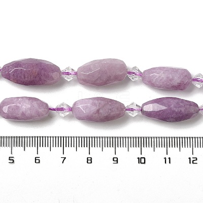 Natural Phosphosiderite Beads Strands G-H297-A06-01-1
