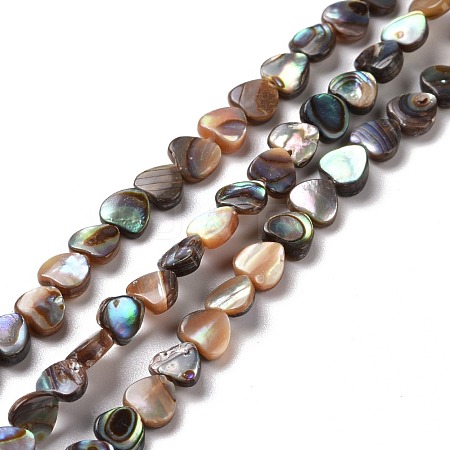 Natural Paua Shell Beads Strands SSHEL-G023-15-1