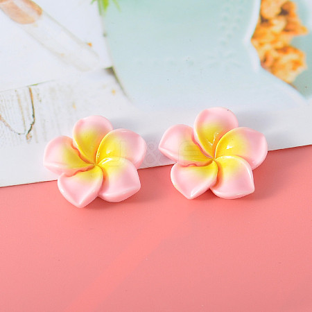 Resin Cabochon LS-CRES-WH20001-06C-1
