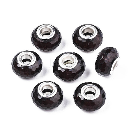 Resin European Beads LS-RPDL-S009-06-1