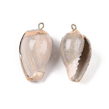 Natural Sea Shell Pendants SSHEL-N038-32-1