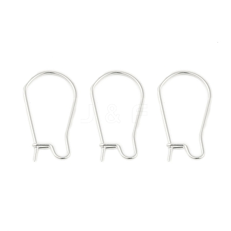 304 Stainless Steel Hoop Earring Findings STAS-P223-01S-01-1