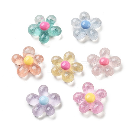 Translucent Resin Decoden Cabochons RESI-B027-01-1