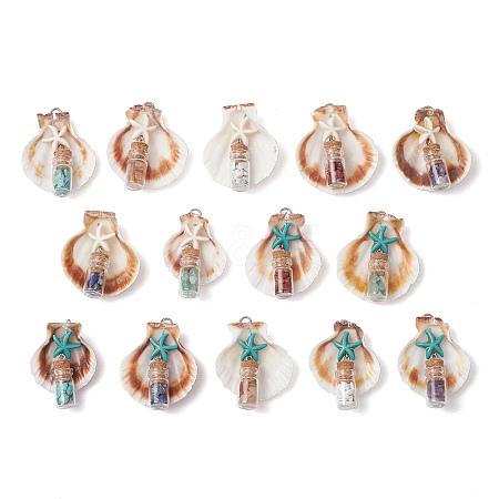 14Pcs 14 Styles Natural Scallop Shell Beads with Glass Jar Glass Bottles Stone Pendants PALLOY-JF03564-1