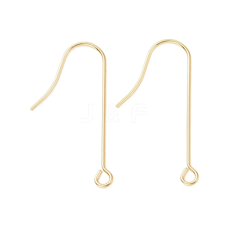 316 Surgical Stainless Steel Earring Hooks STAS-E027-02B-G-1