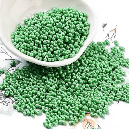 Opaque Colours Glass Seed Beads SEED-A033-06O-1