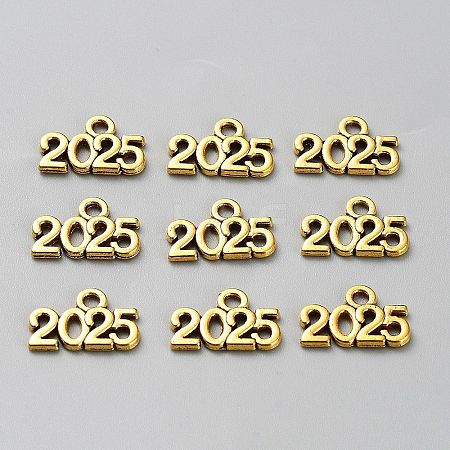 Tibetan Style Alloy Pendants LS-FIND-TAC0028-16AG-1