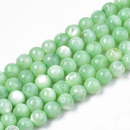 Natural Freshwater Shell Beads Strands X-SHEL-N003-24-B03-1