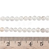 Natural Dendritic Agate Beads Strands G-C011-4mm-01-5
