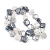 Electroplated Shell Pearl Beads Strands BSHE-D301-02F-2