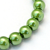 Baking Painted Glass Pearl Bead Strands X-HY-Q003-3mm-13-2