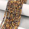 Natural Tiger Eye Beads Strands X-G-C127-A06-06-2