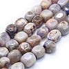 Natural Agate Beads Strands G-I245-32A-1