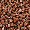 FGB Baking Paint Glass Seed Beads SEED-Q040-09A-07-3