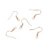 Iron Earring Hooks LS-X-IFIN-EC135-RG-1