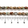 Natural Aqua Terra Jasper  Beads Strands G-F765-I01-01-5