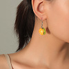 Iron Resin Dangle Earrings for Women WG01F65-04-1