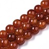 Natural Carnelian Beads Strands G-S259-32-12mm-1