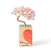 Heart Money Tree Natural Rose Quartz Bonsai Display Decorations DJEW-G027-16RG-03-2